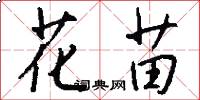 花苗怎么写好看