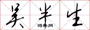 吴半生怎么写好看