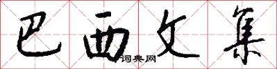 巴西文集怎么写好看