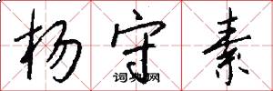 杨守素怎么写好看