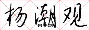 杨潮观怎么写好看