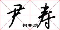 尹寿怎么写好看