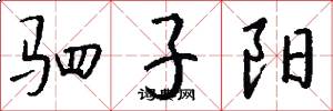 驷子阳怎么写好看