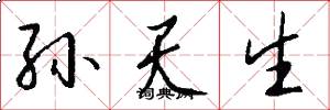 孙天生怎么写好看