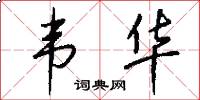 韦华怎么写好看