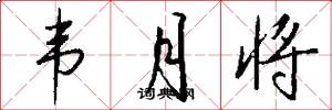 韦月将怎么写好看