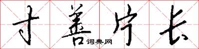 寸善片长怎么写好看
