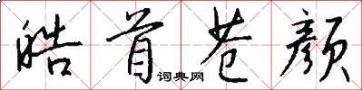 皓首苍颜怎么写好看