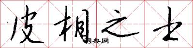 皮相之士怎么写好看