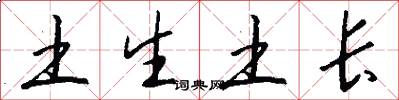 土生土长怎么写好看