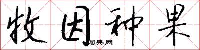 收因种果怎么写好看