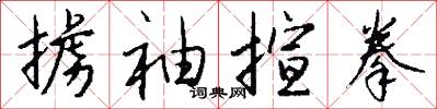 掳袖揎拳怎么写好看