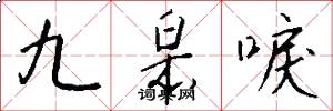 九皋唳怎么写好看