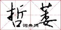 哲萎怎么写好看