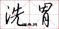 洗胃怎么写好看
