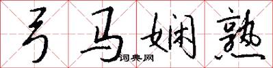 弓马娴熟怎么写好看