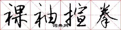 裸袖揎拳怎么写好看