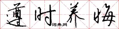 遵时养晦怎么写好看