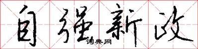 自强新政怎么写好看