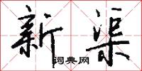 新渠怎么写好看