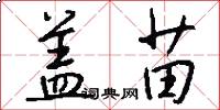 盖苗怎么写好看