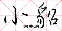 小貂怎么写好看