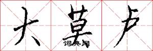 大莫卢怎么写好看