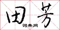 田芳怎么写好看