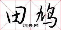 田鸠怎么写好看