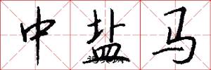 中盐马怎么写好看