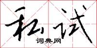 私试怎么写好看