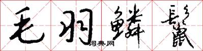 毛羽鳞鬣怎么写好看