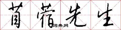 苜蓿先生怎么写好看