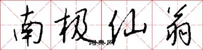 南极仙翁怎么写好看