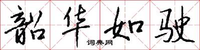 韶华如驶怎么写好看