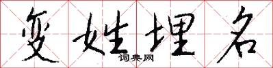 变姓埋名怎么写好看