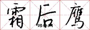 霜后鹰怎么写好看