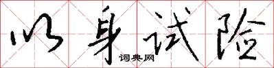 以身试险怎么写好看