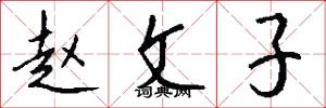赵文子怎么写好看