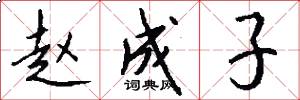 赵成子怎么写好看