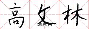 高文林怎么写好看