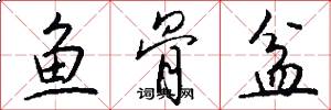 鱼骨盆怎么写好看