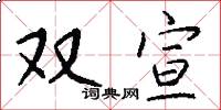 双宣怎么写好看