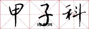 甲子科怎么写好看