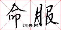 命服怎么写好看