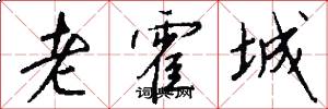 老霍城怎么写好看
