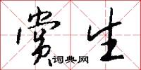 赏生怎么写好看