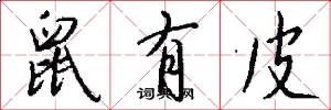 鼠有皮怎么写好看