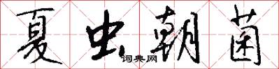 夏虫朝菌怎么写好看