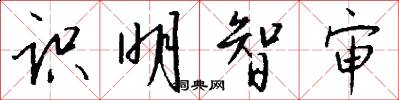 识明智审怎么写好看